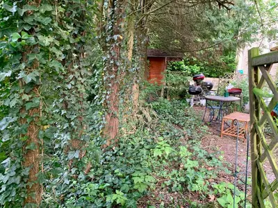 a ivy covered wall next to a table and a tree at River City in Beersel