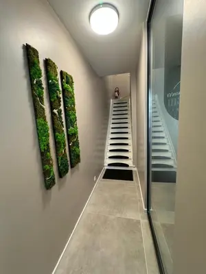 a hallway with a staircase with plants on the wall at Modern apartment - Lier in Lier