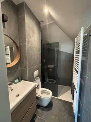 a bathroom with a toilet and a sink at Minimalist apartment - Lier center in Lier