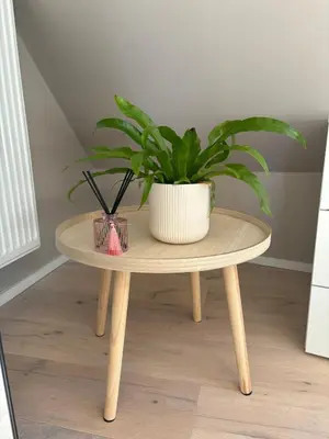 a potted plant sitting on a wooden table at Minimalist apartment - Lier center in Lier