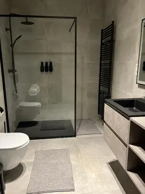 a bathroom with a shower and a toilet and a sink at FDS Luxe House in Ghent