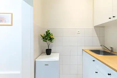 a white kitchen with a plant on top of a refrigerator at Studio idéal pour visiter Bruxelles in Brussels