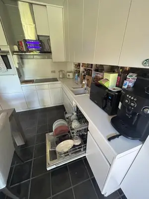 a kitchen with a sink and a dishwasher at Steves Place Haasdonk in Beveren