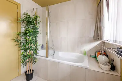 a bathroom with a bath tub with a potted plant at Steves Place Haasdonk in Beveren
