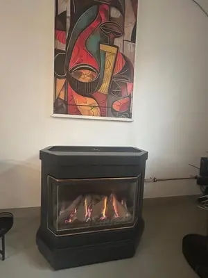 a fireplace in a room with a painting on the wall at Steves place Temse in Sint-Niklaas