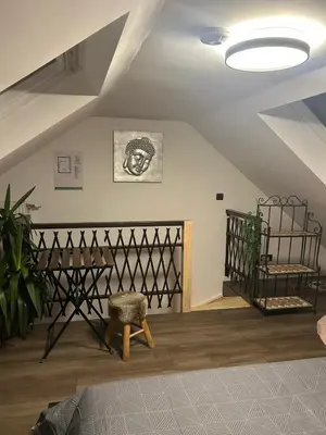 a room with a table and a chair and a ceiling at Steves place Temse in Sint-Niklaas