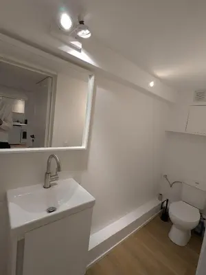 a white bathroom with a sink and a toilet at cozy nest basement st gilles in Brussels
