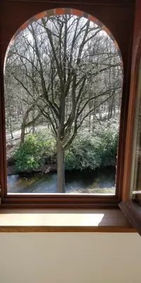 a window with a tree and a river through it at Klik Klak Studio in Bornem