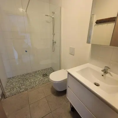 a bathroom with a shower and a toilet and a sink at De Spetser in Merksplas