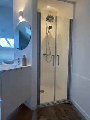 a shower in a bathroom with a sink and a mirror at Le Cozy Bijou in Antwerp
