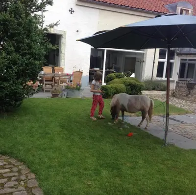 a little girl standing next to a horse under an umbrella at Beautiful 19th-century house in the countryside in Glabbeek