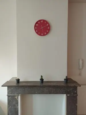 a clock on a wall above a fireplace with potted plants at NiceFlatInTheStad in Antwerp