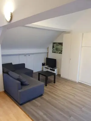 a living room with a couch and a tv at Studio meublé in Zaventem