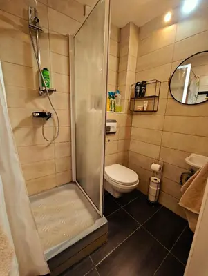 a bathroom with a shower and a toilet at Brussels Cozy Studio in Brussels