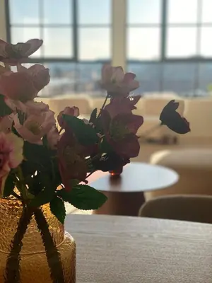 a vase filled with pink flowers on a table at Verliefd in Antwerpen in Antwerp