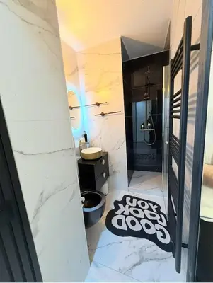 a bathroom with a sink and a toilet in a room at Charming apartment in Bruxelles in Brussels