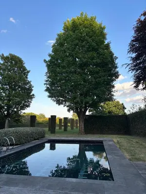 a pool in a garden with a tree in the background at Maison Tomorrowland in Aartselaar
