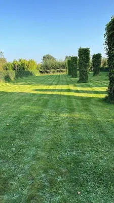 a large field of green grass with trees and bushes at Maison Tomorrowland in Aartselaar