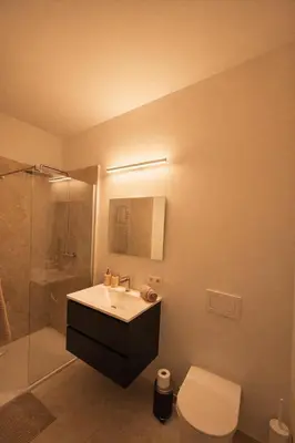 a bathroom with a sink and a shower and a toilet at Luxury penthouse in Antwerp in Antwerp