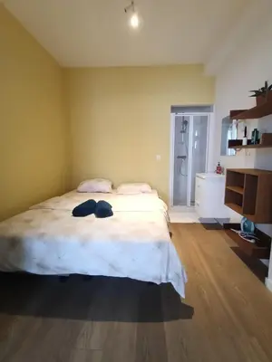a bedroom with a large bed and a bathroom at Studio charmoso in Brussels
