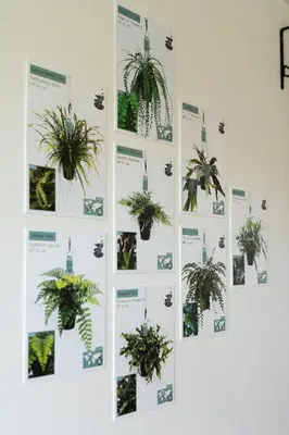 a wall with pictures of potted plants on it at Vakantiehoeve Breathe Nature in Lochristi