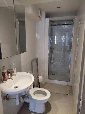 a bathroom with a toilet and a sink and a shower at Typical flat Grand Place in Brussels