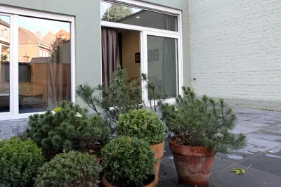 a group of potted plants in front of a house at Parc Brussels Apartment in Brussels