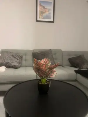 a living room with a coffee table and a couch at Secret Garden 2