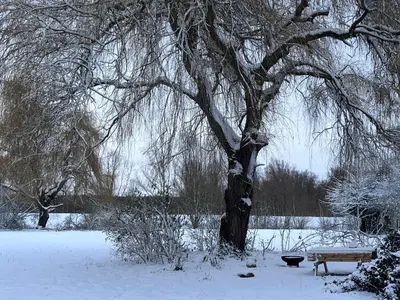 a bench sitting under a tree in the snow at Secret Garden 2