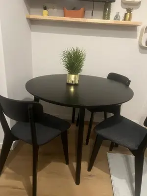 a black table with two chairs and a plant on it at Secret Garden 2