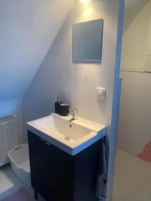 a bathroom with a sink and a toilet at Cozy loft in private house at the center of Ghent in Ghent