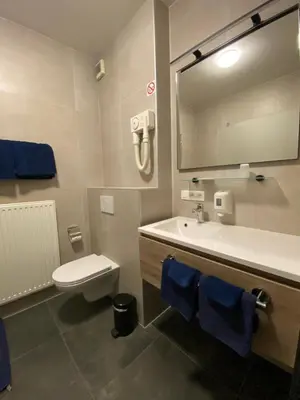 a bathroom with a sink and a toilet and a mirror at Hotel Cleo in Kasterlee