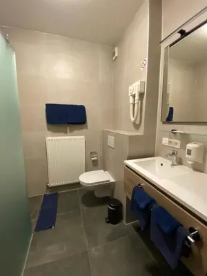 a bathroom with a sink and a toilet and a mirror at Hotel Cleo in Kasterlee