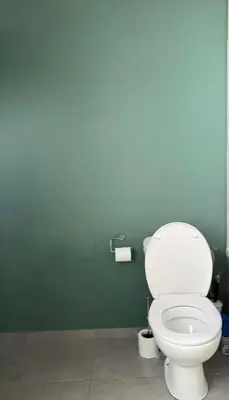 a bathroom with a white toilet in a green wall at Purple Sofa in Antwerp