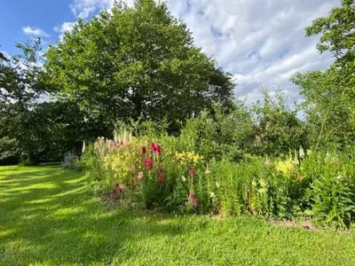 a garden with flowers and plants in a field at The BEE Garden in Lede