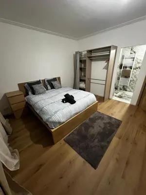 a bedroom with a bed with a black cat laying on it at Un cocon chaleureux in Brussels