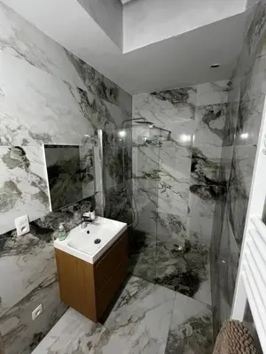 a bathroom with a sink and a shower at Un cocon chaleureux in Brussels