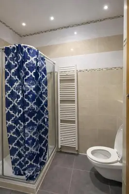 a bathroom with a toilet and a shower curtain at Central Brussels Spacious 2BR near Grand Place3 in Brussels
