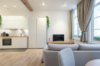 a living room with a couch and a kitchen at Cosy 1 bedroom apartment close to Grand Place in Brussels
