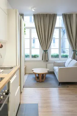 a living room with a couch and two windows at Cosy 1 bedroom apartment close to Grand Place in Brussels