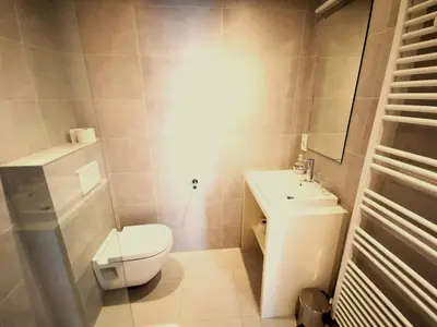 a bathroom with a toilet and a sink at Maison Jamaer in Brussels