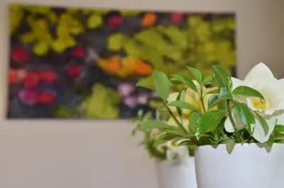 a white potted plant sitting on a table with a painting at RectoVersoVV in Sint-Pieters-Leeuw