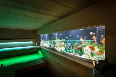 a fish tank in a room with a green light at Thermen Londerzeel Hotel in Londerzeel