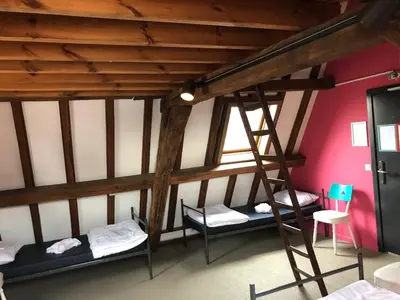 a room with two bunk beds and a ladder at Antwerp City Hostel in Antwerp