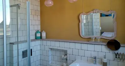 a bathroom with a sink and a mirror at Bed & Breakfast Exterlaer in Antwerp