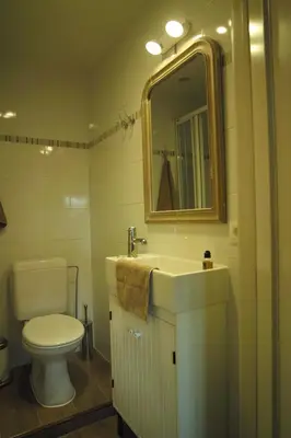 a bathroom with a toilet and a sink and a mirror at Bed & Breakfast De Kleine Magnolia in Tessenderlo