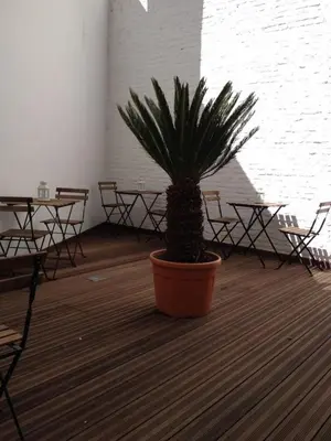a potted plant in a room with tables and chairs at All In One in Brussels