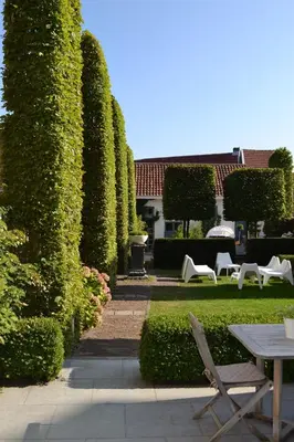 a garden with chairs and a table and trees at B&B Dusk till dawn in Mechelen