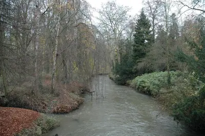 a river in the middle of a forest at Lavan in Leuven