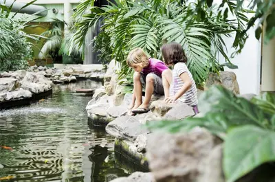 two children sitting on rocks looking at a pond at Sunparks Kempense Meren in Mol